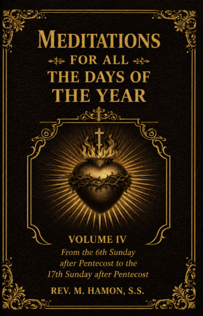 Meditations For All the Days of the Year: Volume IV. From the 6th Sunday to the 17th Sunday after Pentecost (ePub)