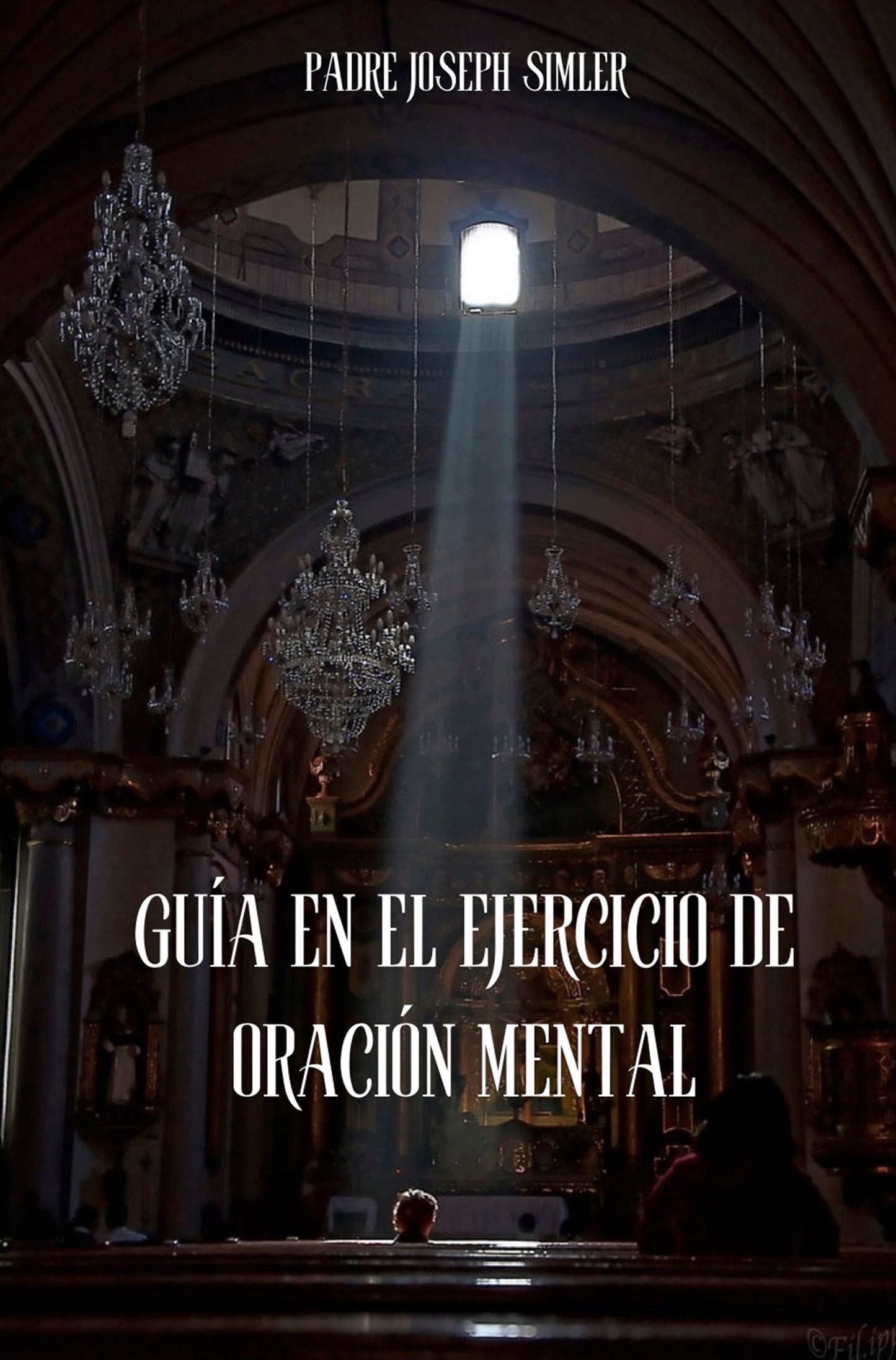 Guía para el ejercicio de la oración mental ~ Padre Joseph Simler